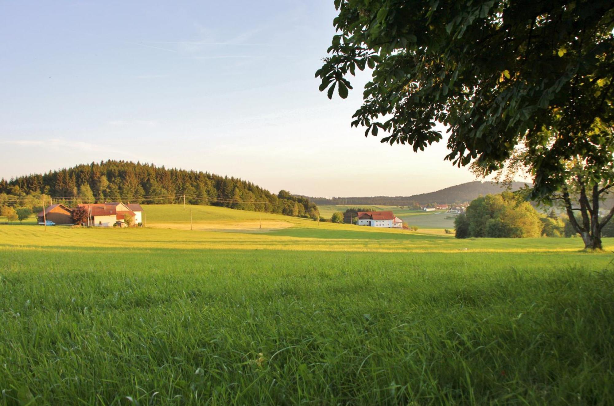 Gasthof-Pension Zum Haugstein - Familie Eder Engelhartszell Luaran gambar